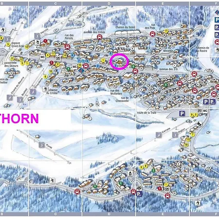 Apartment Les Saisies: Grand 2 Pieces Cabine, 6 Pers, Cheminee, Balcon Sud, Wifi - Fr-1-293-248 Hauteluce